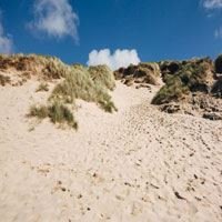 
            Dunes
            My summer vacation to the Oregon Coast. I love the sandy dunes!